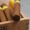 TRINIDAD REYES - Image 9
