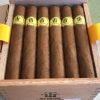 TRINIDAD REYES - Image 2