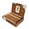 Undercrown Shade Corona Doble - Image 4